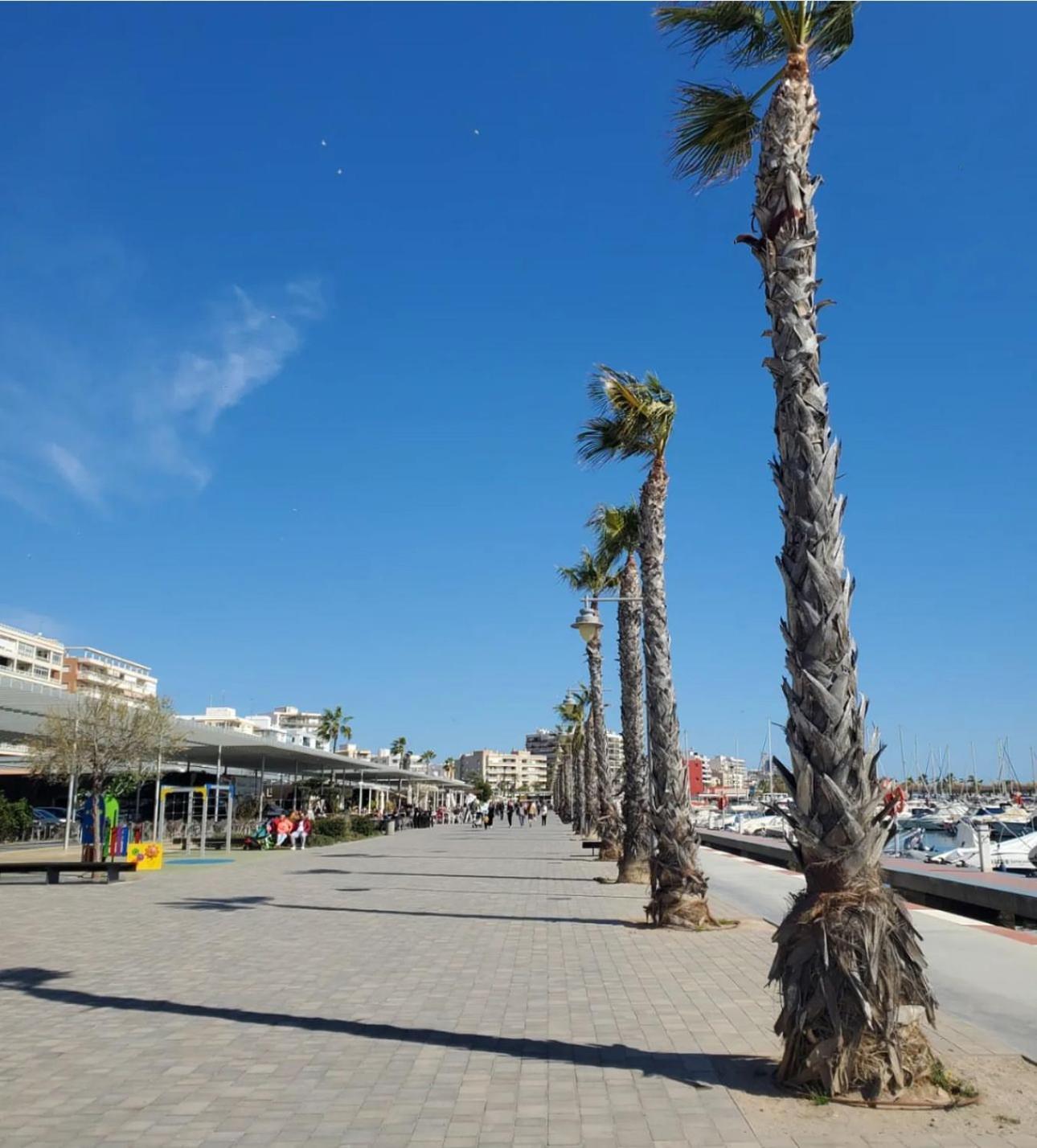 Stylish Apartment In Santa Pola Dış mekan fotoğraf